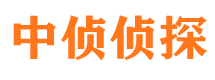 宁河调查事务所